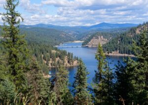 Pristine alpine lake surrounded by dense coniferous forest and mountains under blue sky with white clouds.