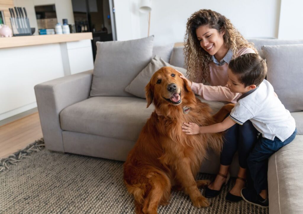 Mother and child petting a golden retriever in living room next to gray couch and wooden shelving unit.