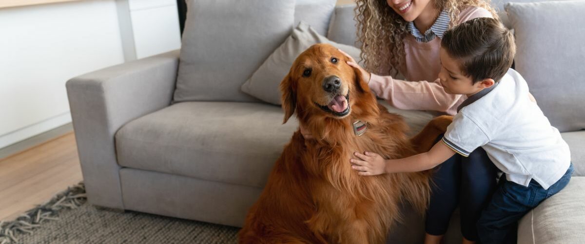 Pet Owners-HVAC-Tips